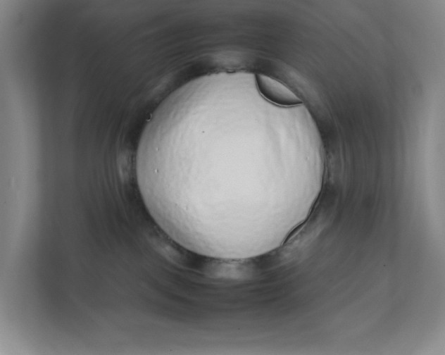 X0000111470093200908031409