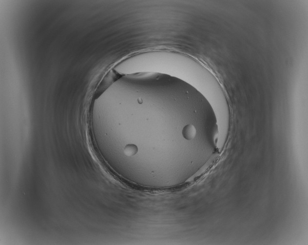 X0000111470097200908031408