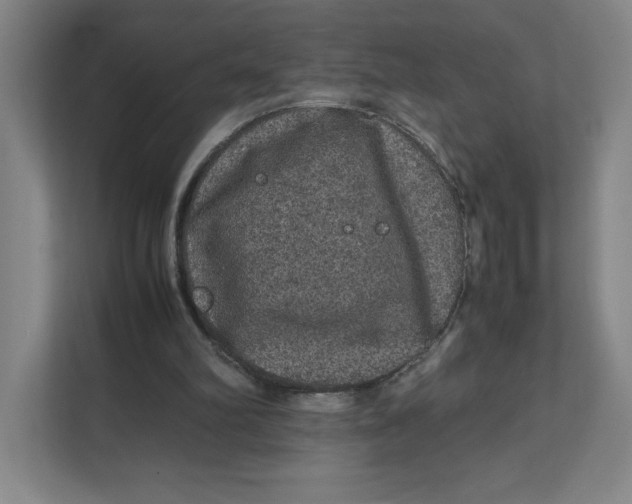 X0000111470102200908031408