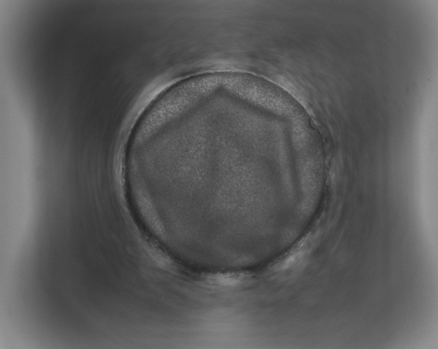 X0000111470103200908031408