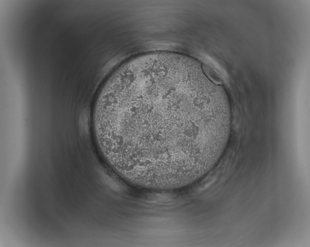 X0000111470107200908031408