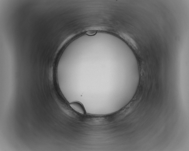 X0000111470108200908031408