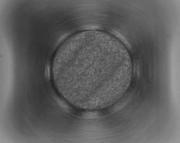 X0000111470110200908031408