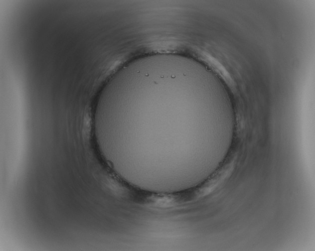 X0000111470113200908031408