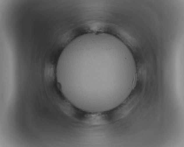 X0000111470121200908031408