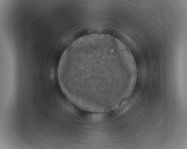 X0000111470134200908031408