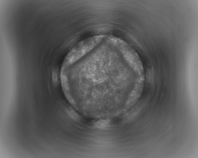 X0000111470138200908031408