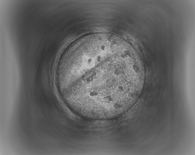 X0000111470145200908031407