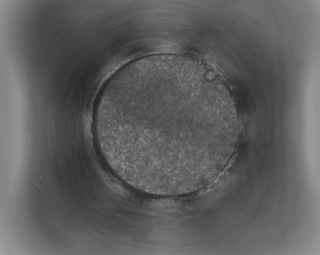 X0000111470146200908031407