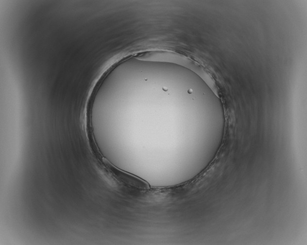 X0000111470148200908031407