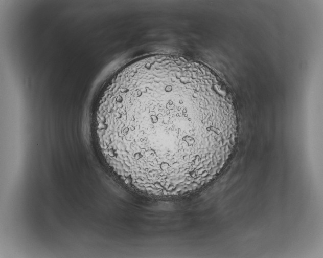 X0000111470149200908031407