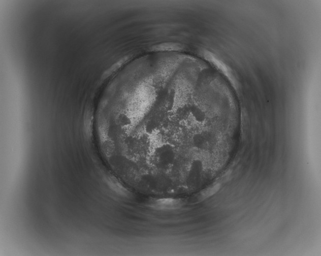 X0000111470153200908031407