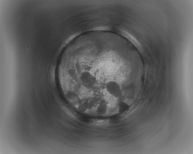 X0000111470155200908031407