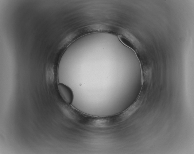 X0000111470158200908031407