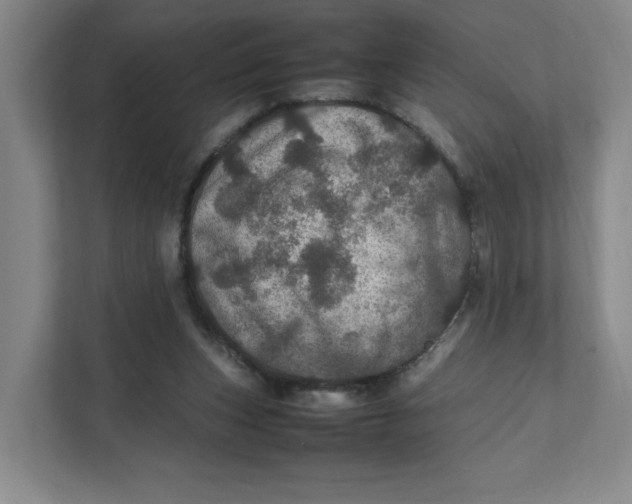 X0000111470159200908031407