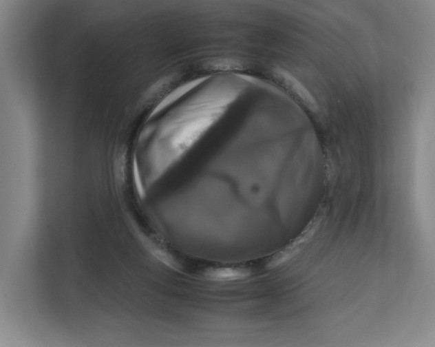 X0000111470163200908031407