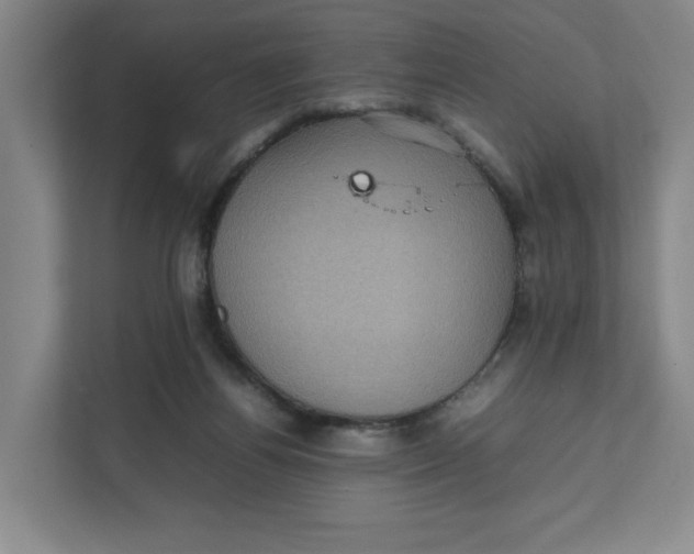 X0000111470164200908031407