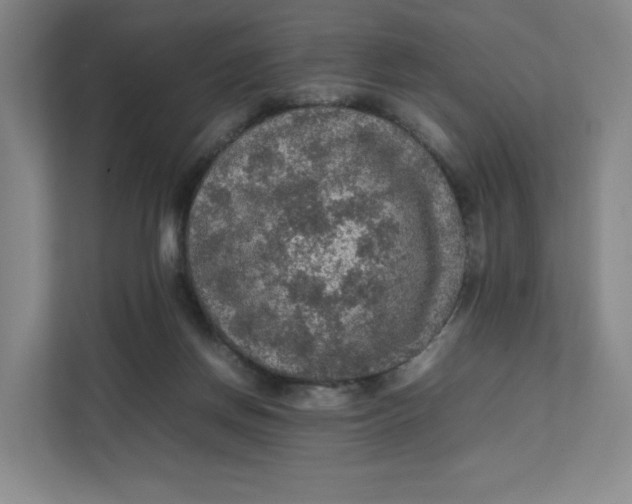 X0000111470166200908031407