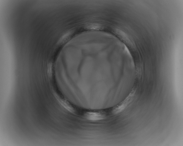 X0000111470167200908031407