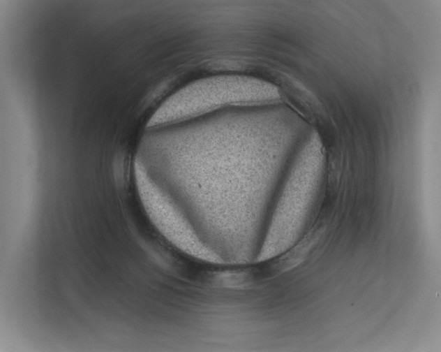 X0000111470168200908031407