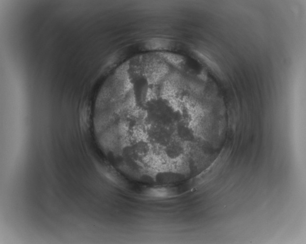 X0000111470171200908031407