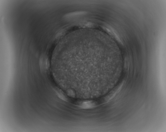 X0000111470173200908031408