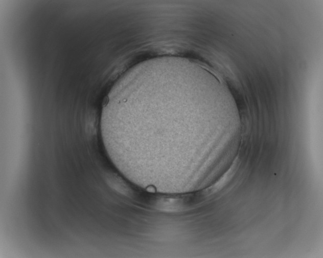 X0000111470174200908031408