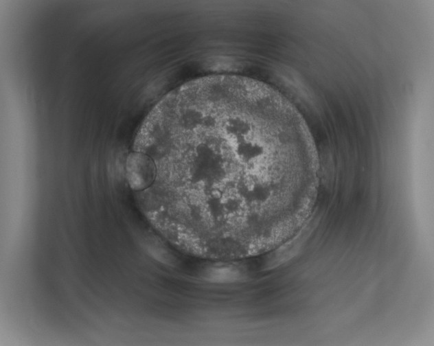 X0000111470175200908031408