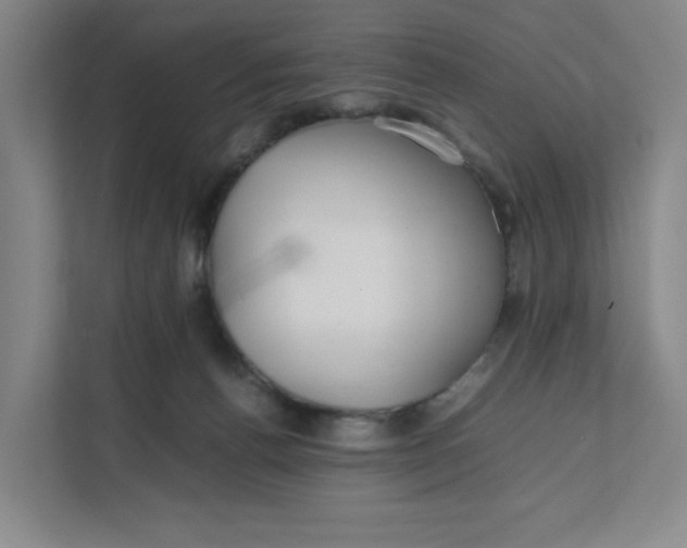 X0000111470176200908031408