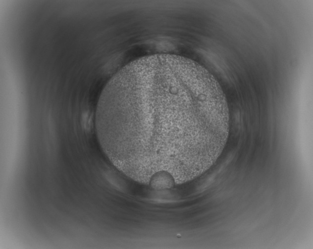 X0000111470177200908031408