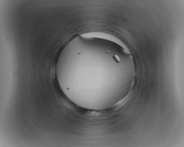 X0000111470180200908031408