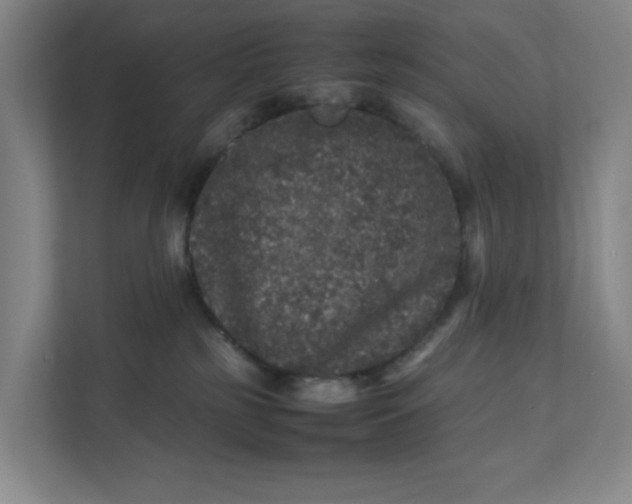 X0000111470185200908031408