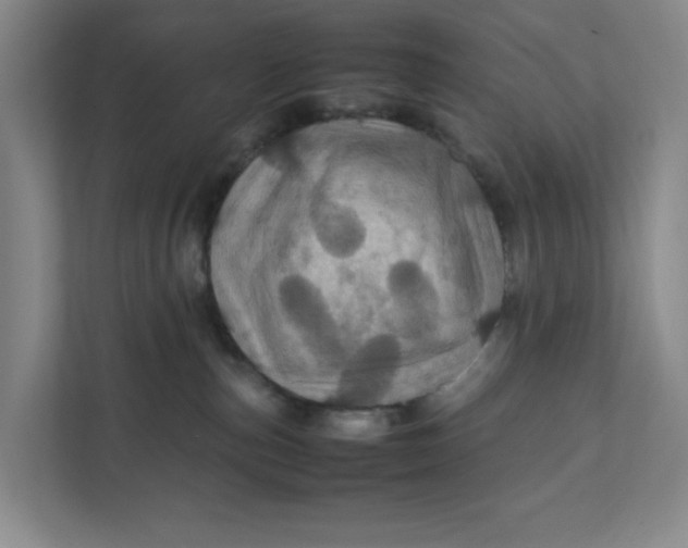 X0000111470187200908031408