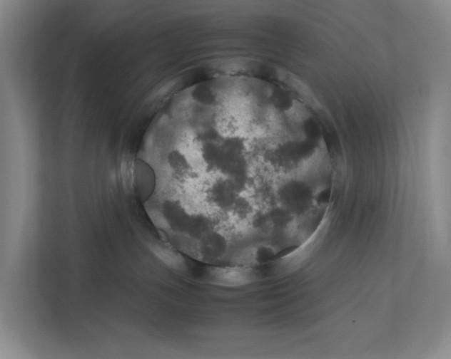 X0000111470191200908031408