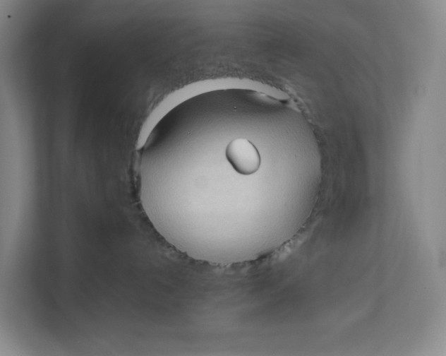 X0000111470192200908031408