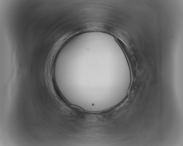 X0000111470193200908031407