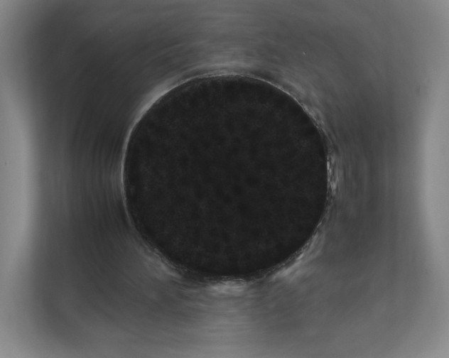 X0000111470196200908031407