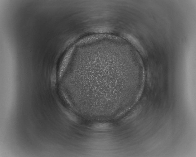 X0000111470202200908031407