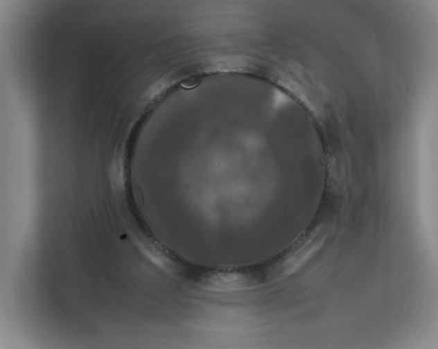 X0000111470203200908031407