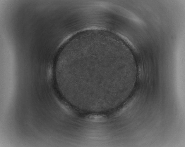 X0000111470208200908031407