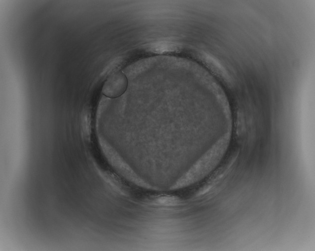 X0000111470210200908031407