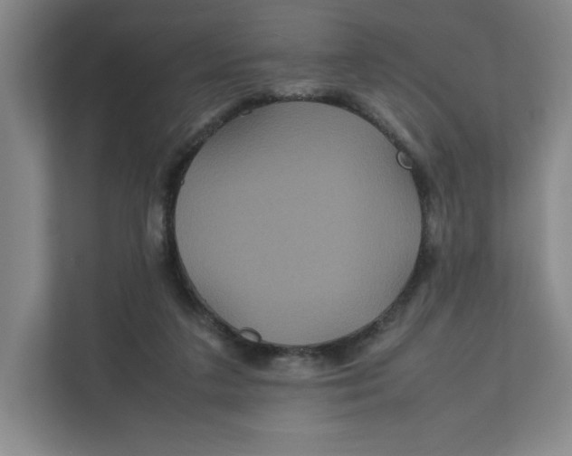 X0000111470211200908031407