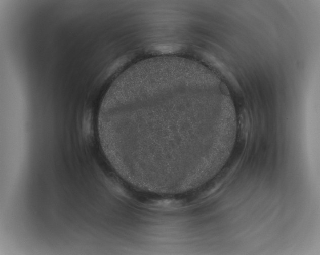 X0000111470212200908031407