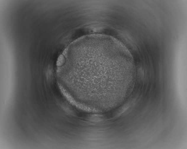 X0000111470222200908031407