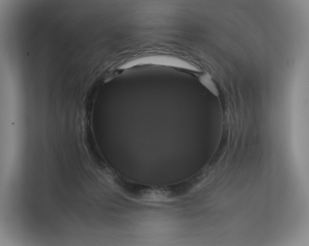 X0000111470223200908031407