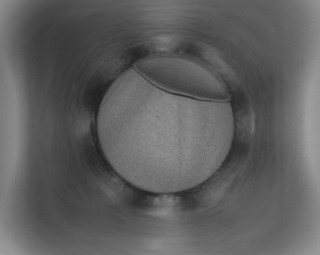 X0000111470225200908031407