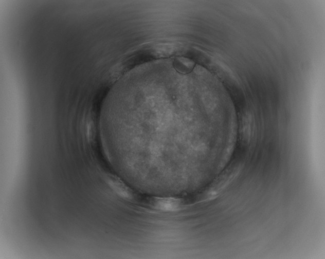 X0000111470226200908031407