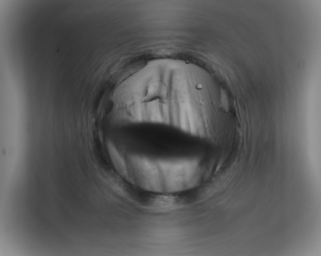 X0000111470227200908031407