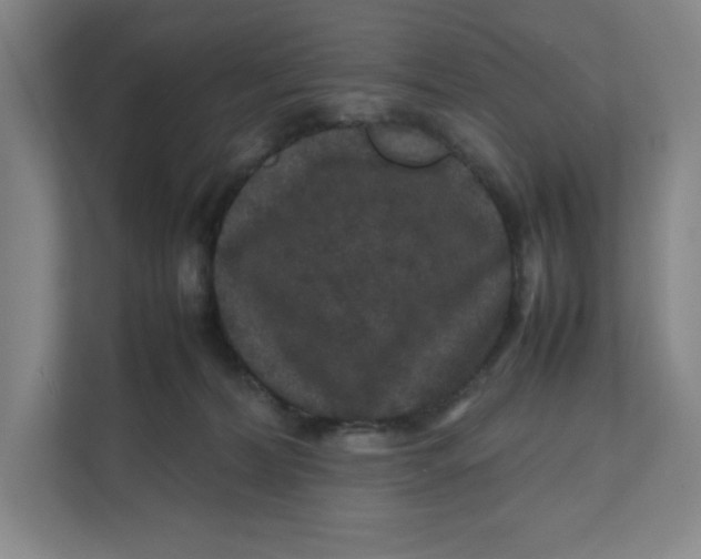 X0000111470228200908031407