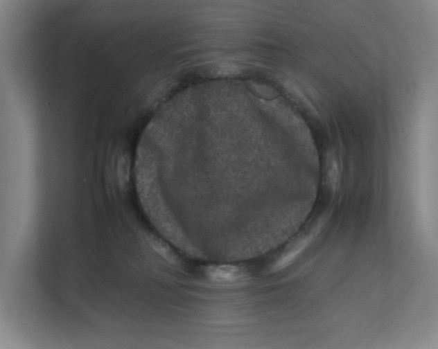 X0000111470230200908031407